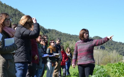 Se celebra en Manresa el segundo fin de semana presencial del Posgrado