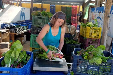 Curs d’Economia i Gestió de Projectes Agroecològics d’Ecologistes en Acció
