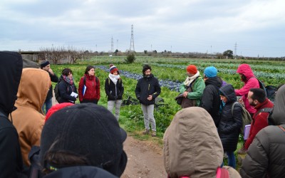 Comença la III edició de la Diplomatura de Postgrau en Dinamització Local Agroecològica