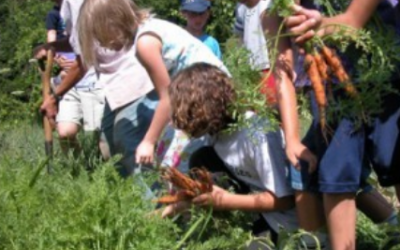 Nova publicació: ‘Compartint la collita: Agricultura Recolzada per la Comunitat, una guia compartida’
