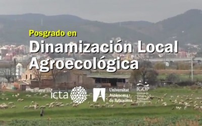 Vídeo i bonificacions per la formació del Postgrau en DLAe