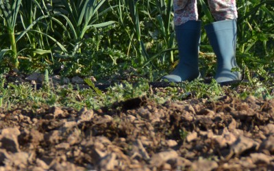‘Agroecologia i Economia Feminista: bones pràctiques per la sostenibilitat de la vida’, 16 de març